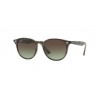 RAY BAN RB 4259