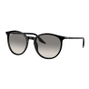 RAY BAN RB 2204