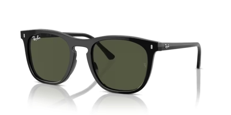 RAY BAN RB 2210