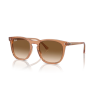 RAY BAN RB 2210