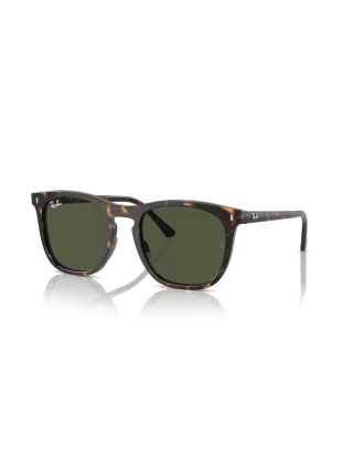 RAY BAN RB 2210