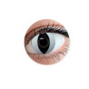 FREEVISION CRAZY COLORS 1 DAY CAT EYE WHITE