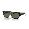 RAY BAN RB 0947S