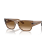 RAY BAN RB 0947S