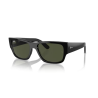 RAY BAN RB 0947S
