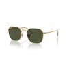 RAY BAN RB 3694